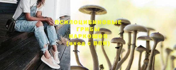 прущая мука Алзамай