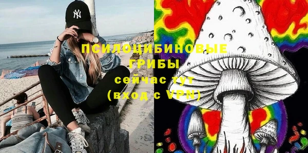 прущая мука Алзамай