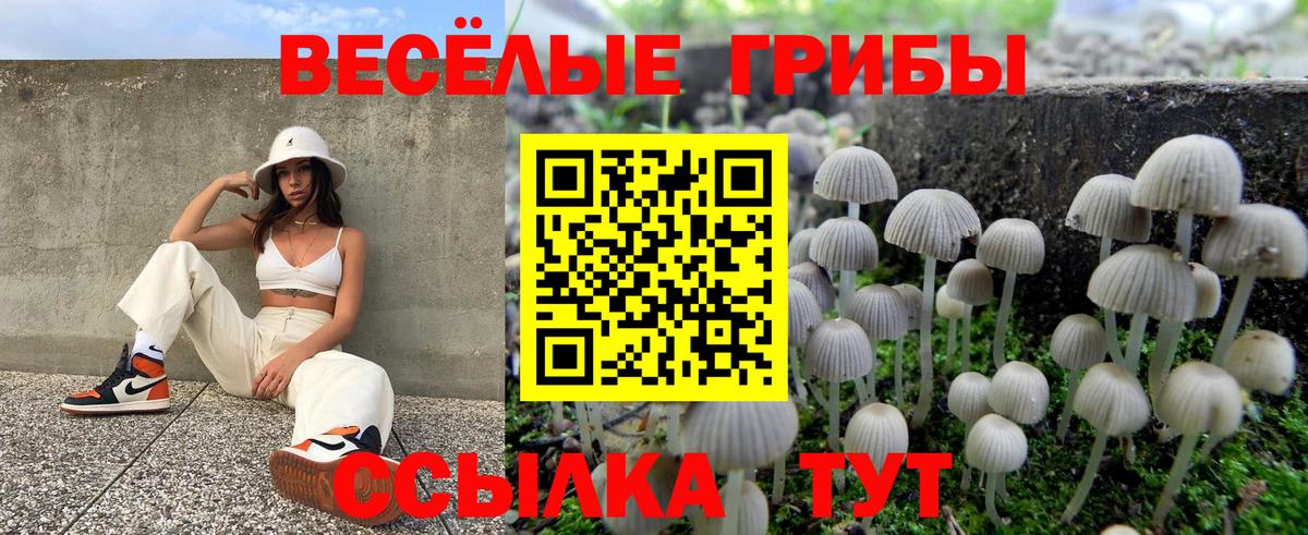 Галлюциногенные грибы Cubensis  Вход с VPN  Карачаевск  Псилоцибиновые грибы MAGIC MUSHROOMS 
