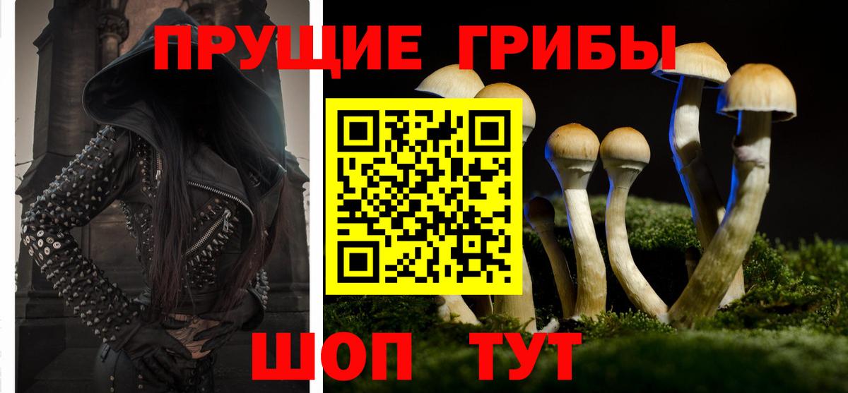 Гашиш Карачаевск