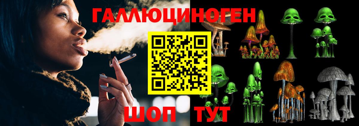 Галлюциногенные грибы мухоморы Карачаевск